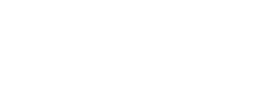 light logo